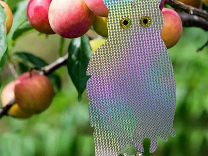 Paukščių baidyklė