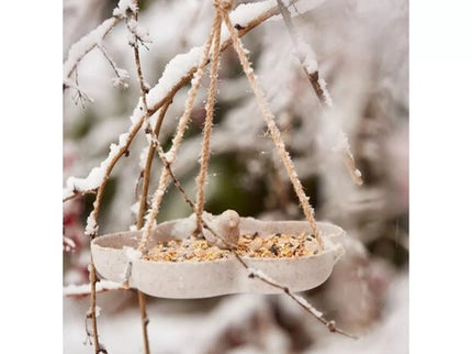 Bird Feeder/Waterer