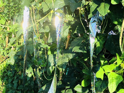 Paukščius atbaidanti juosta