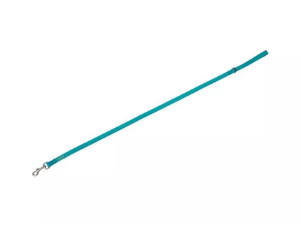 Basic Nylon Leash, turquoise, 15 mm x 120 cm