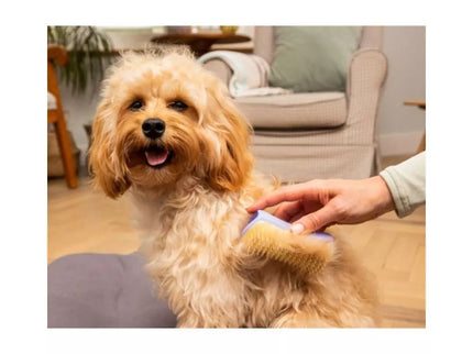 Pet Teezer Pet Hair Brush for Animals Detangling & Dog Grooming Brush Small, Purple