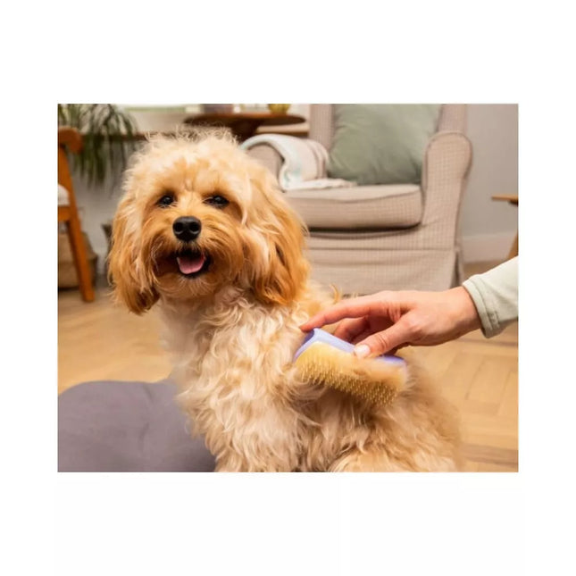 Pet Teezer Pet Hair Brush for Animals Detangling & Dog Grooming Brush Small, Purple