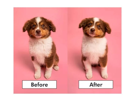 Pet Teezer plaukų šepetys gyvūnams Puppy Brush, žalias