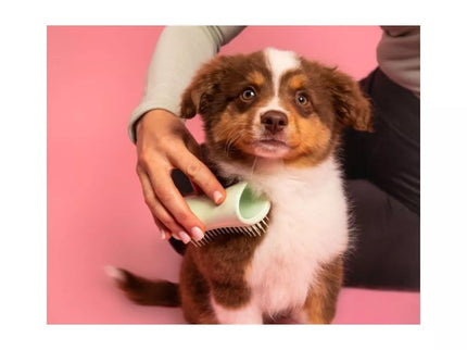 Pet Teezer plaukų šepetys gyvūnams Puppy Brush, žalias