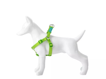 Basic Nylon A-Type Harness, Lime Green, 20mm x 51-70cm