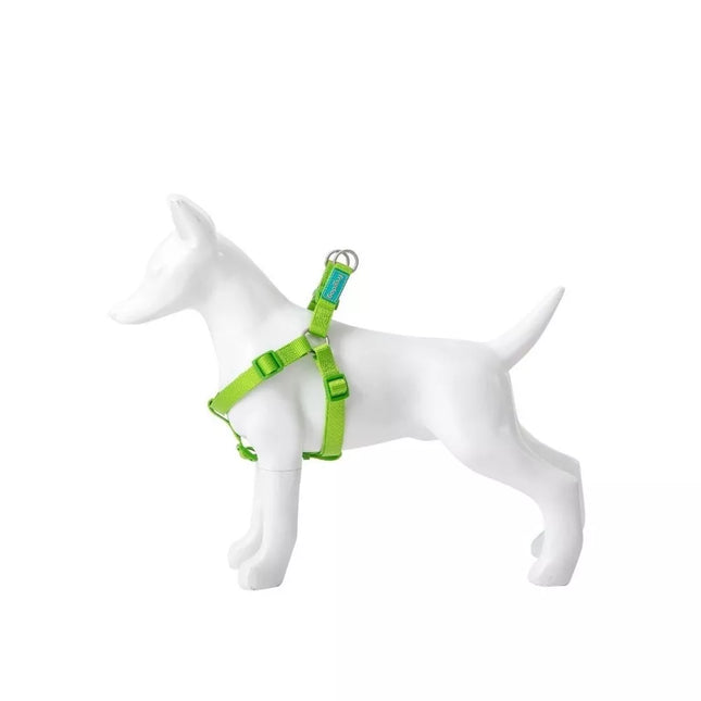 Basic Nylon A-Type Harness, Lime Green, 20mm x 51-70cm
