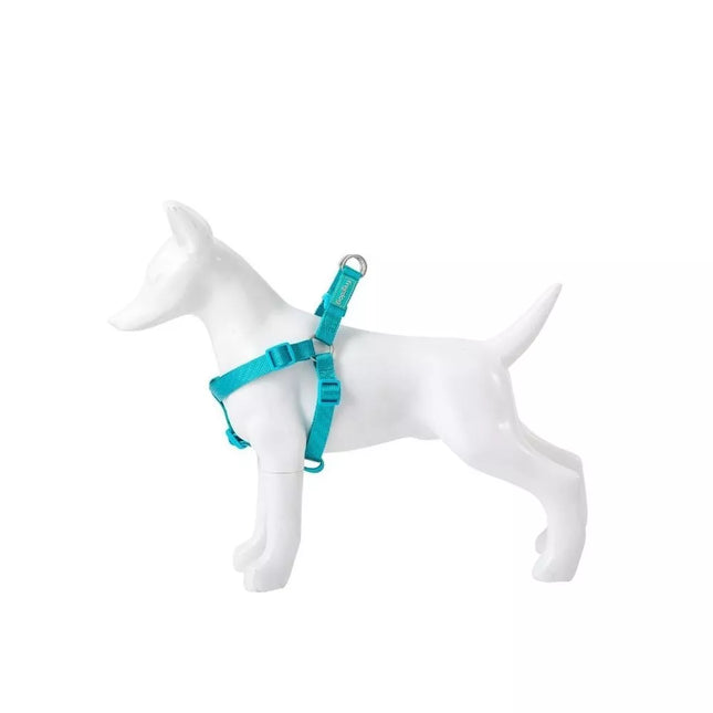 Basic Nylon A-Type Harness, Turquoise, 15 mm x 30-50 cm