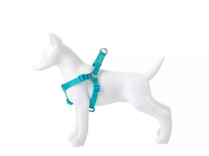 Basic Nylon A-Type Suspenders, Turquoise, 20mm x 51-70cm