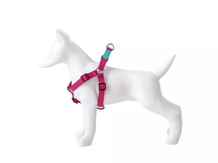 Petnešos Basic Nylon A-Type, vyšninės, 10 mm x 20-36 cm