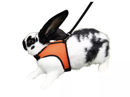 Petnešos graužikams, kaklas 22-26 cm, pilvas 33-34 cm