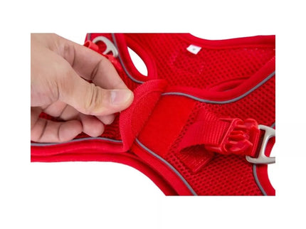 Petnešos Soft, turkio spalvos, M, 40-45 cm