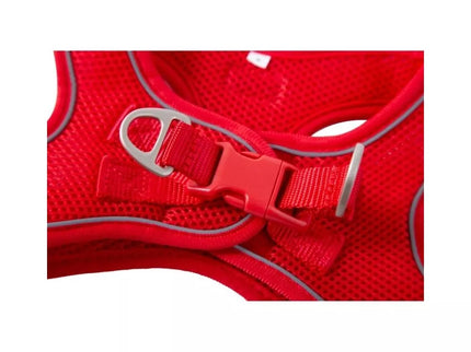 Petnešos Soft, turkio spalvos, M, 40-45 cm