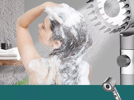 Pilka dušo galvutė