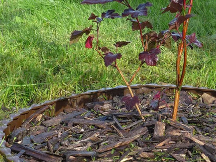 Plastic Lawn Edging 5 pcs. - Brown