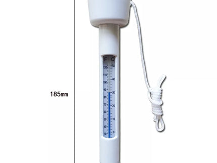 Floating Pool Thermometer