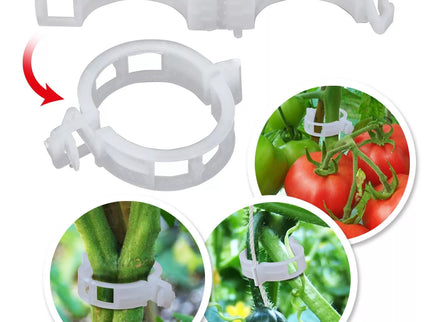 Pomidorų segtukai, 50 vnt.