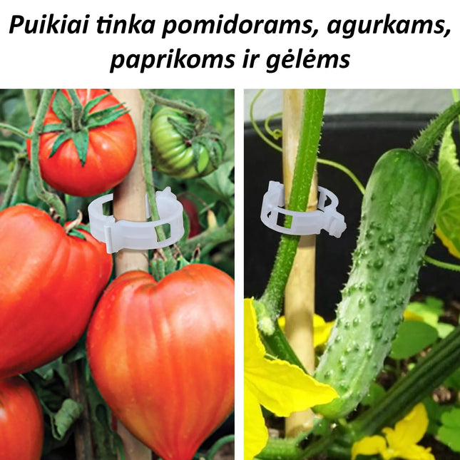 Tomato Clips, 50 Pcs.