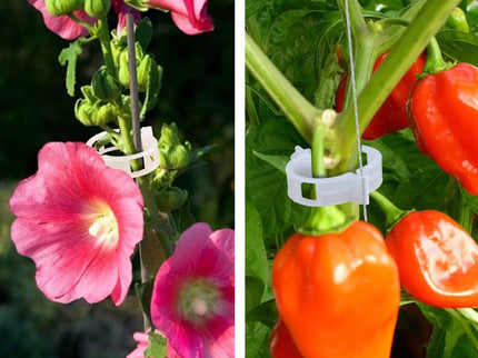 Pomidorų segtukai, 50 vnt.