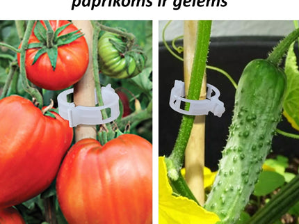 Pomidorų segtukai, 50 vnt.