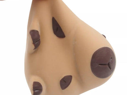 Pripučiama kapibara