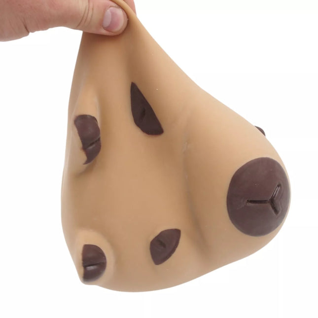 Pripučiama kapibara