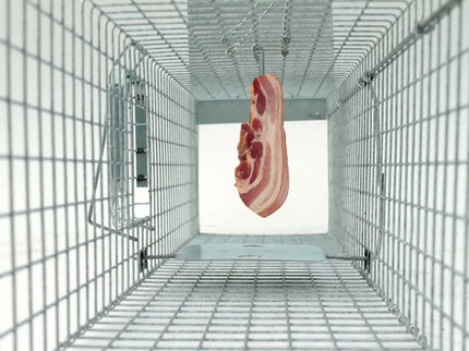 Profesionalus narvas spąstai 120x34x34 cm du įėjimai