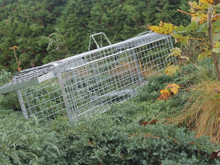 Profesionalus narvas spąstai 120x34x34 cm du įėjimai