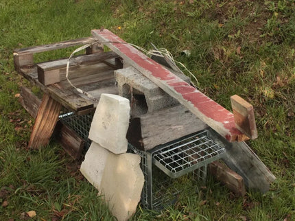 Professional Cage Trap 80x34x34 cm HARDY