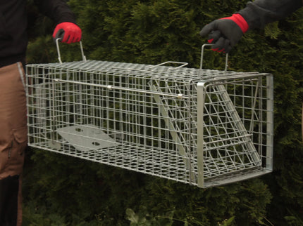 Professional Cage Trap 80x34x34 cm HARDY