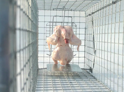 Professional Cage Trap 80x34x34 cm HARDY