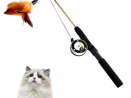 Puikus žaislas katei