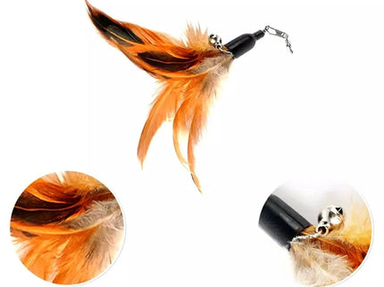 Puikus žaislas katei