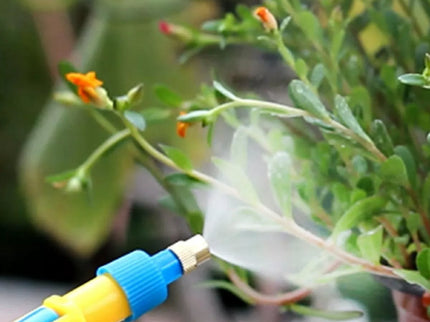 Rankinis purkštuvas