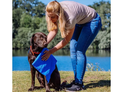 Speed Dry Comfort Dog Towel, 66x43 cm