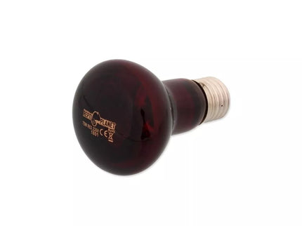 Repti Planet infraredinė lempa 75 W