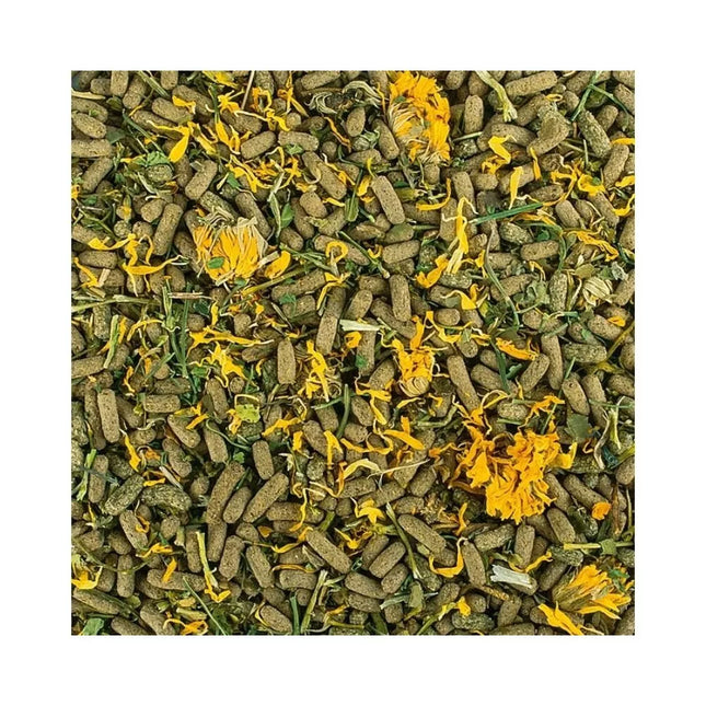 Food for herbivorous reptiles, soft Soft Line Reptiles Herbivore 250 ml