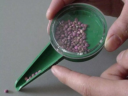 Rinkinys daigams sėti