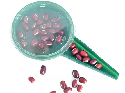 Rinkinys daigams sėti