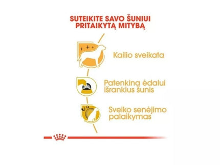 Royal Canin BHN Yorkshire Terrier Adult maistas suaugusiems šunims 0,5 kg