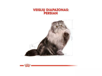 Royal Canin FBN Persian Adult food for adult Persian cats 0.4 kg