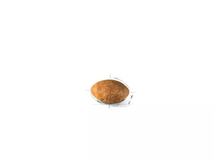 Royal Canin FBN Persian Adult food for adult Persian cats 0.4 kg