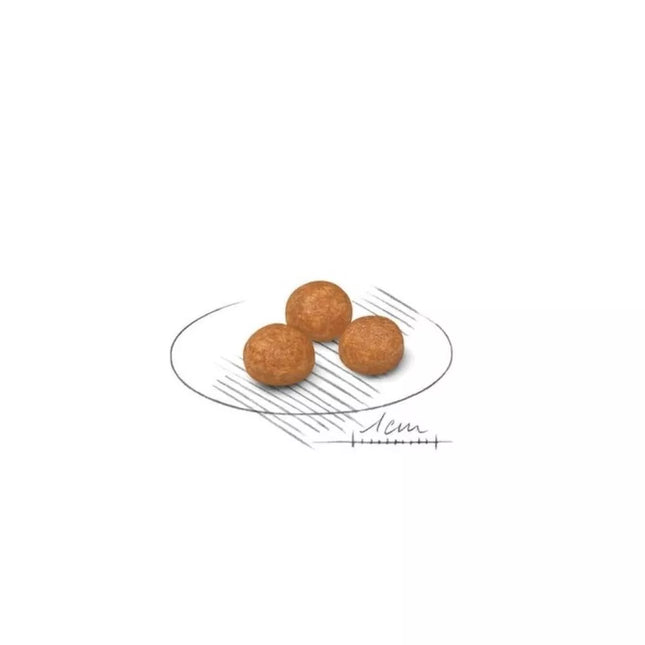 Royal Canin SHN X-SMALL Adult Dog Food 0.4 kg