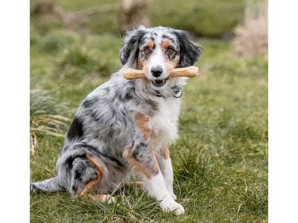 Rudi kaulai šunims iš jaučio odos 16,5 cm (10 vnt.)