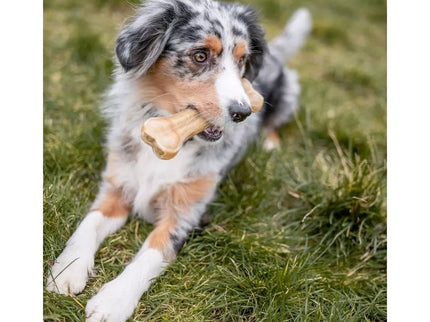 Rudi kaulai šunims iš jaučio odos 21,5 cm (10 vnt.)