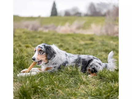 Rudi kaulai šunims iš jaučio odos 21,5 cm (10 vnt.)