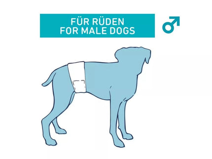 Sauskelnės šunims (patinams), 12 vnt., S - M, 30 - 46 cm