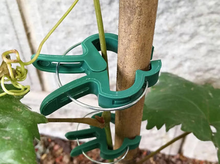 Set of Ties for Tall Plants