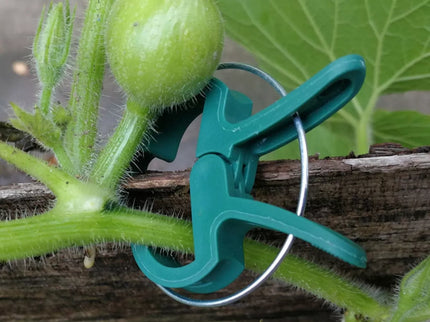 Set of Ties for Tall Plants