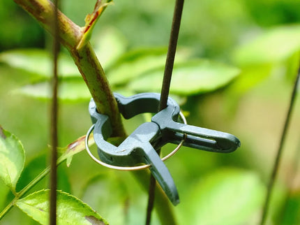 Set of Ties for Tall Plants