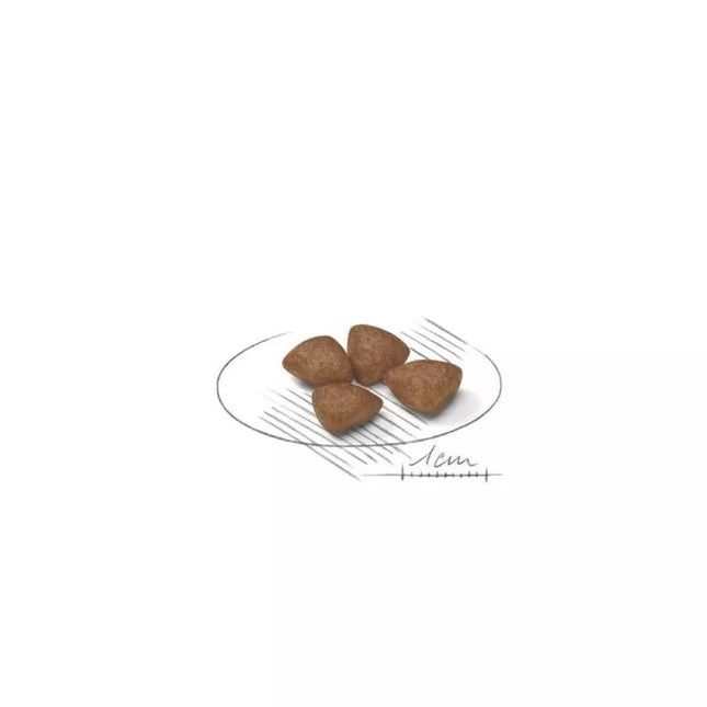 Royal Canin SHN MINI Starter Food for Pregnant and Nursing Bitches and Weaning Puppies 8 kg